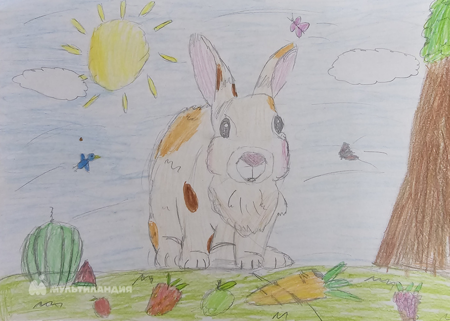 Ченина Дарья 