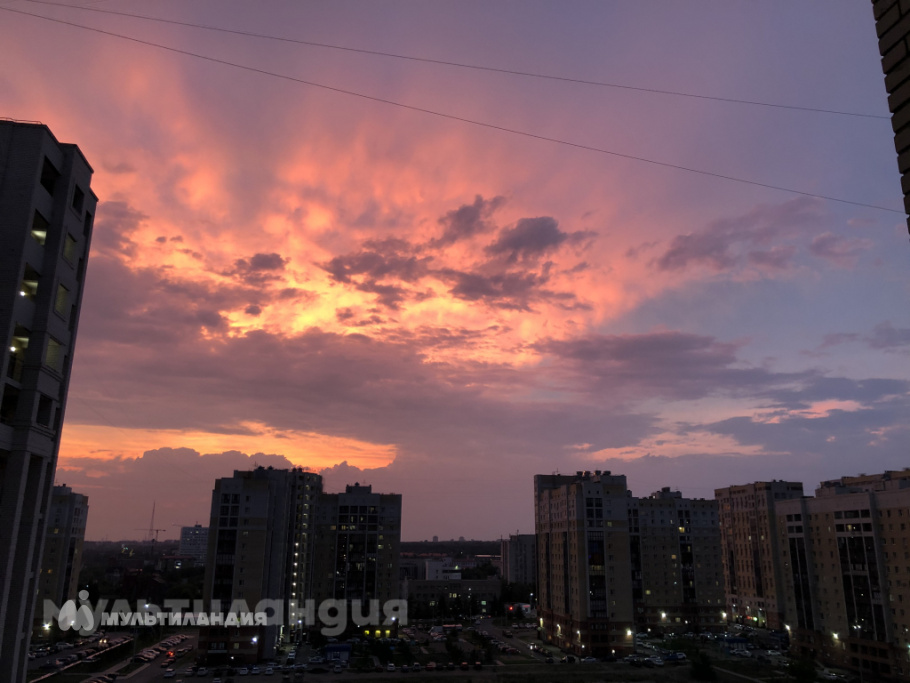 Жданов Даниил