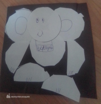 Бунцев  Илья 