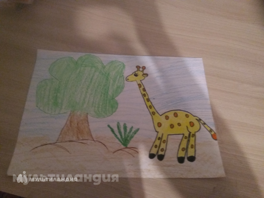 Дарья Перерва